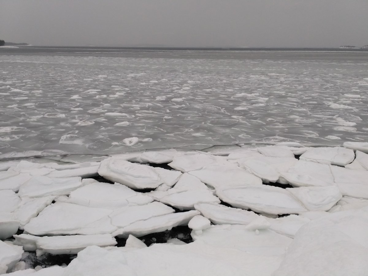 Замерзшее белое море