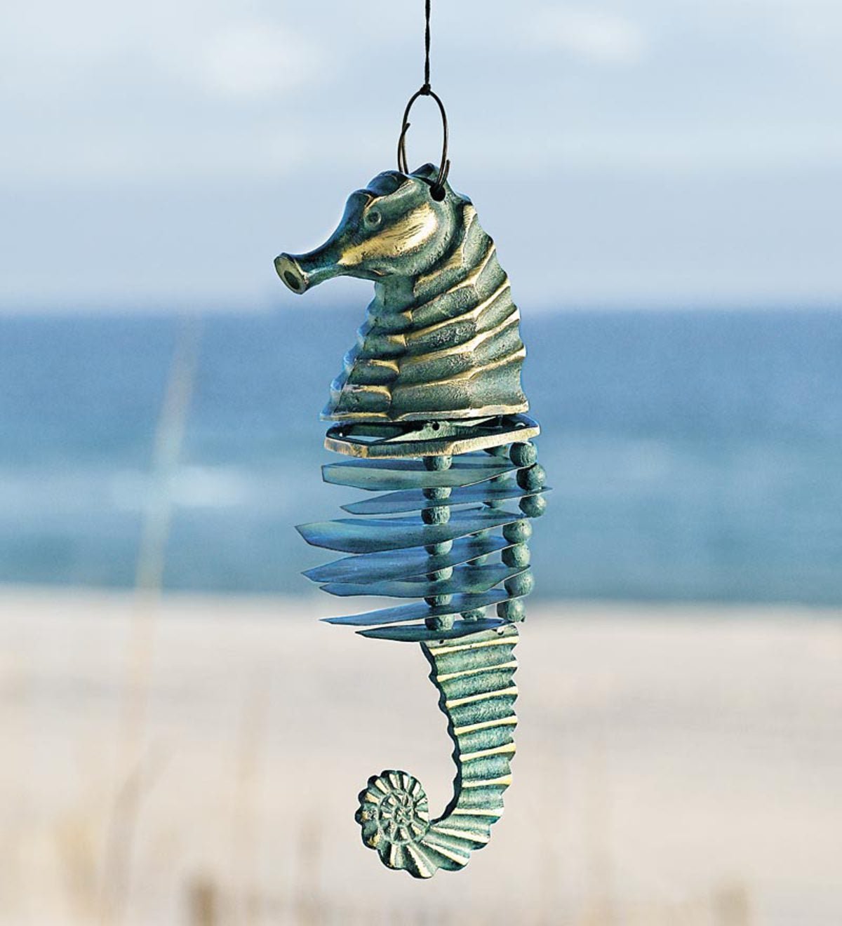 Seahorse 2015