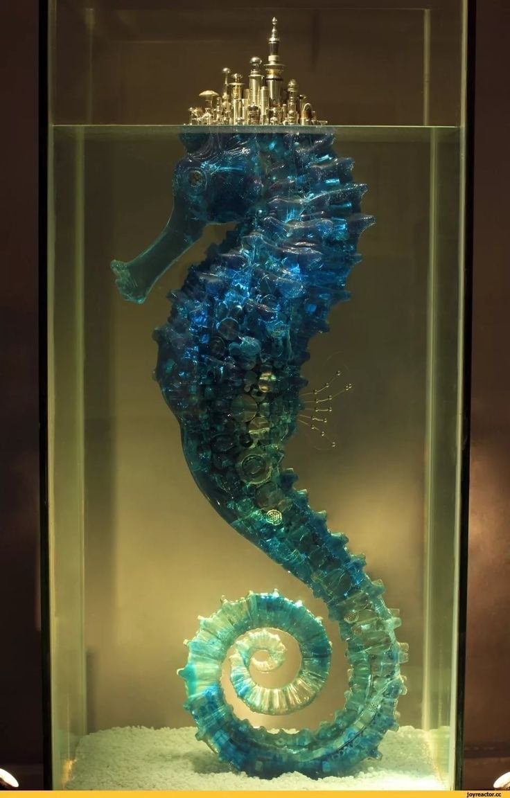 Морской конек