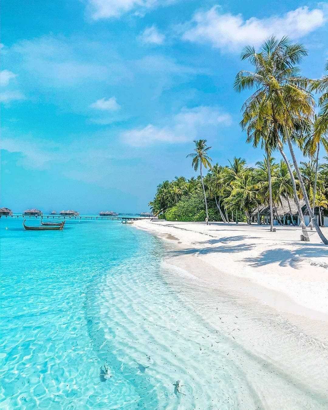 Танзания Занзибар море