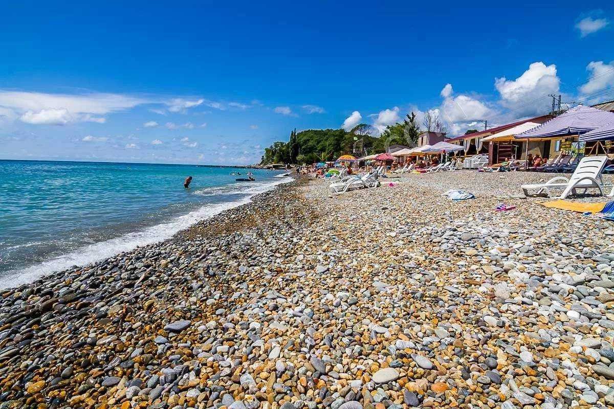 Вардане Сочи