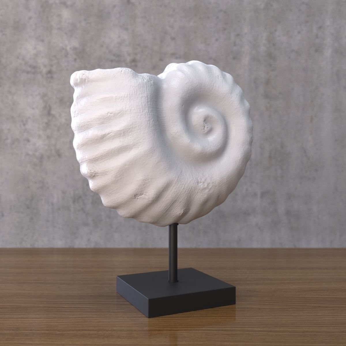 Раковина ракушки 3d модель