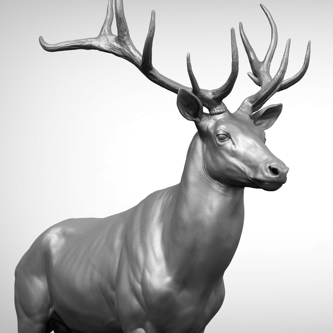 Oleni 3d модель