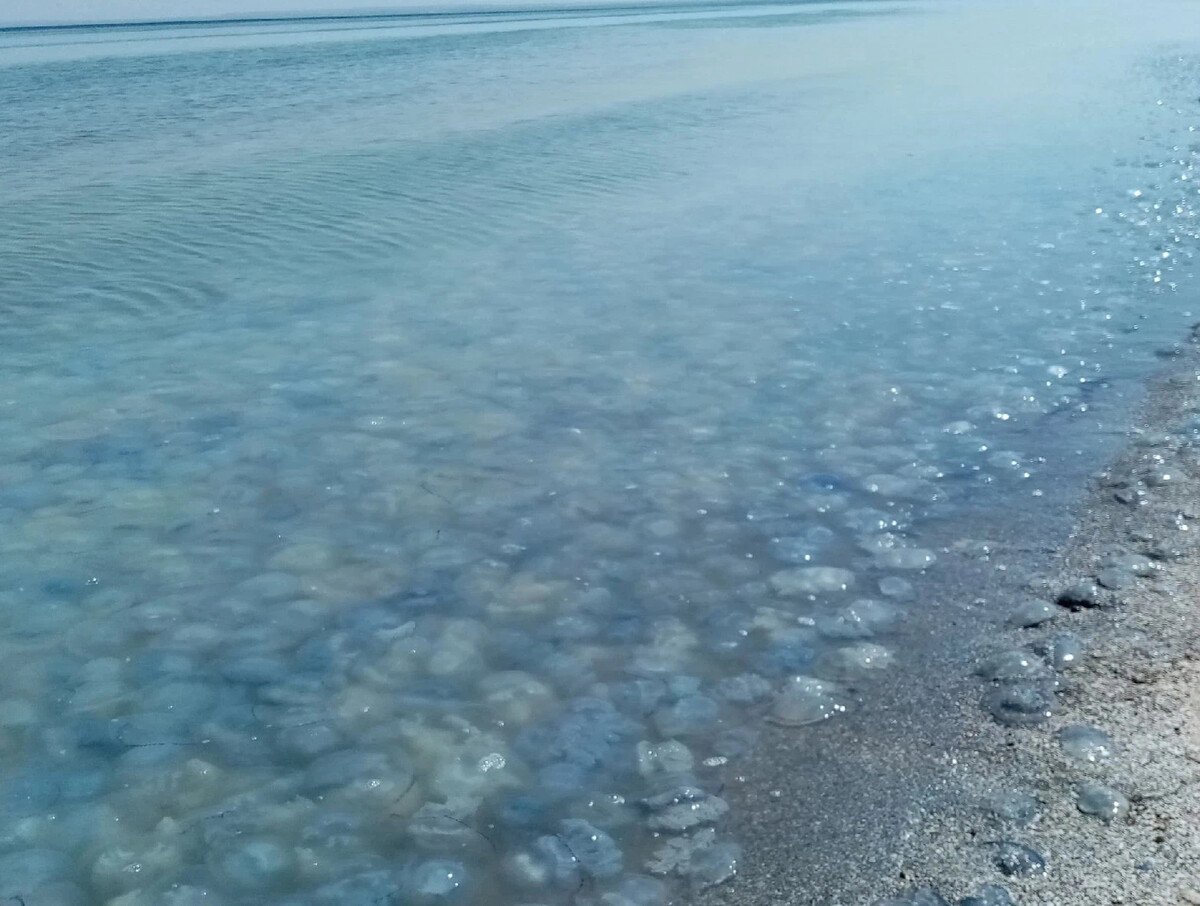 Лучшая вода на черном море