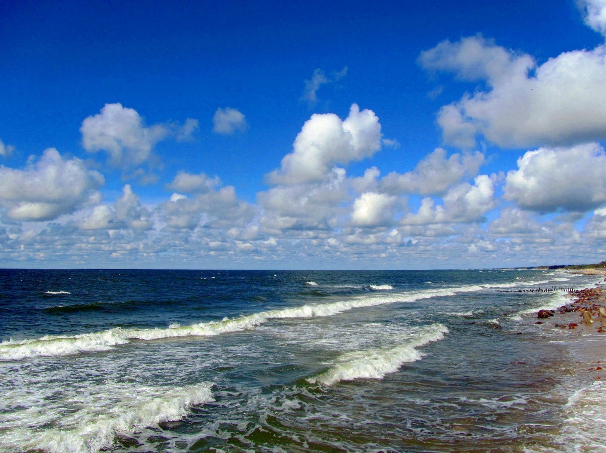 Балтийское море Зеленоградск