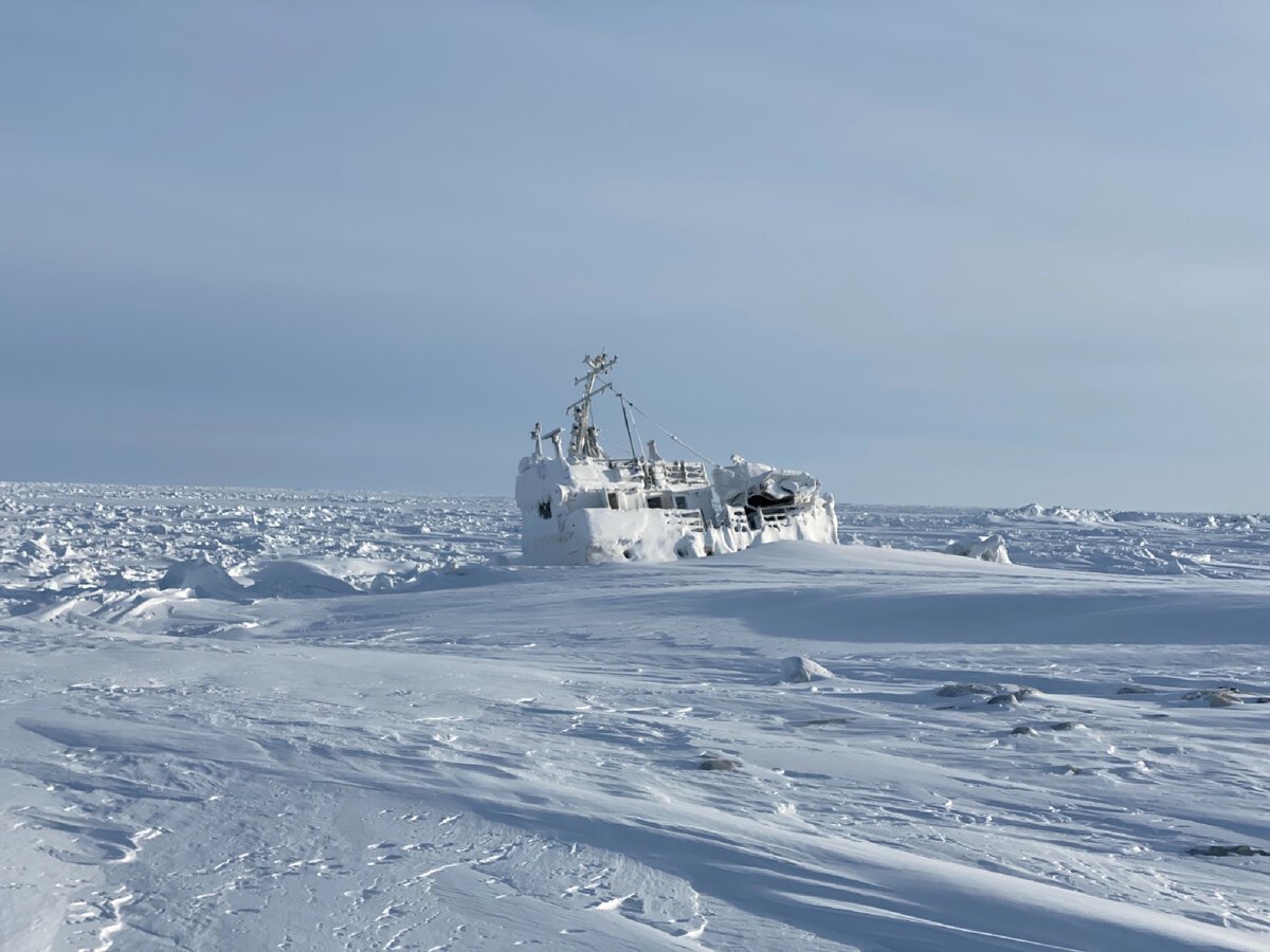 Арктический голец море Лаптевых