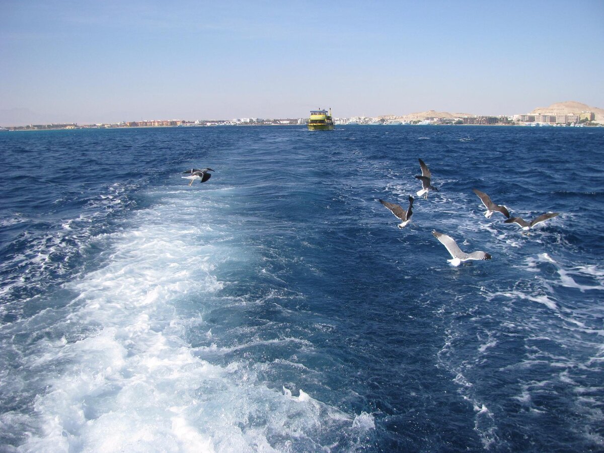 Синее море за кормой