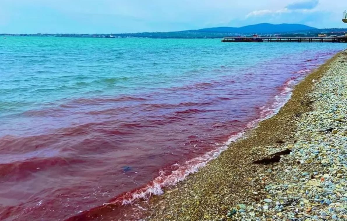 Красное море в Геленджике