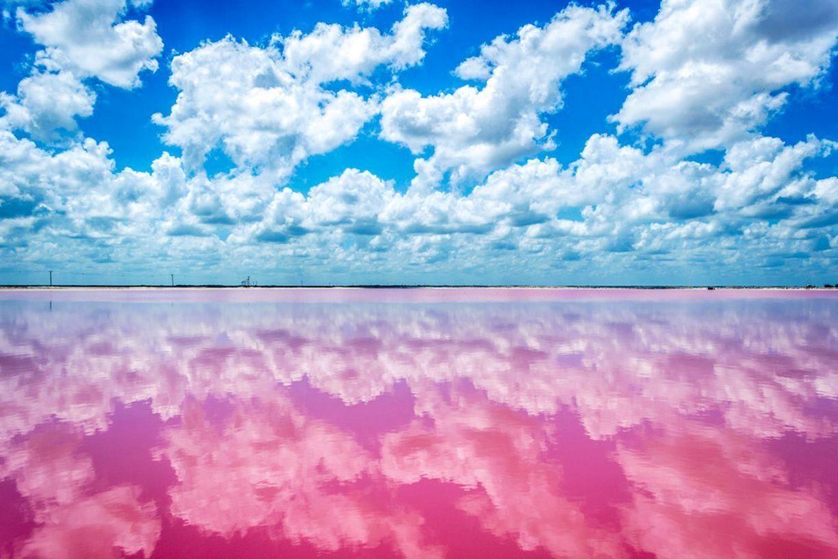 Las Coloradas розовое озеро