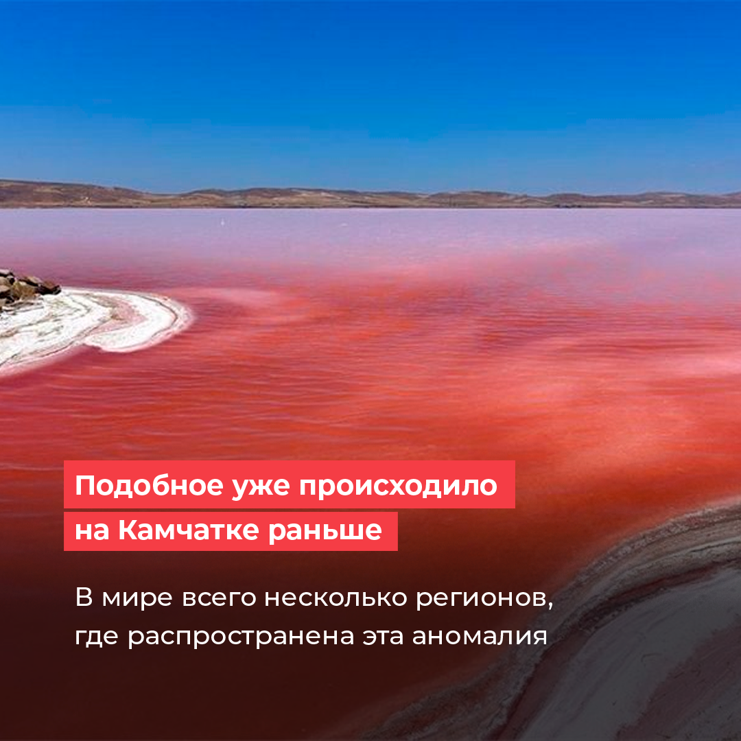 Красный прилив Авачинского залива
