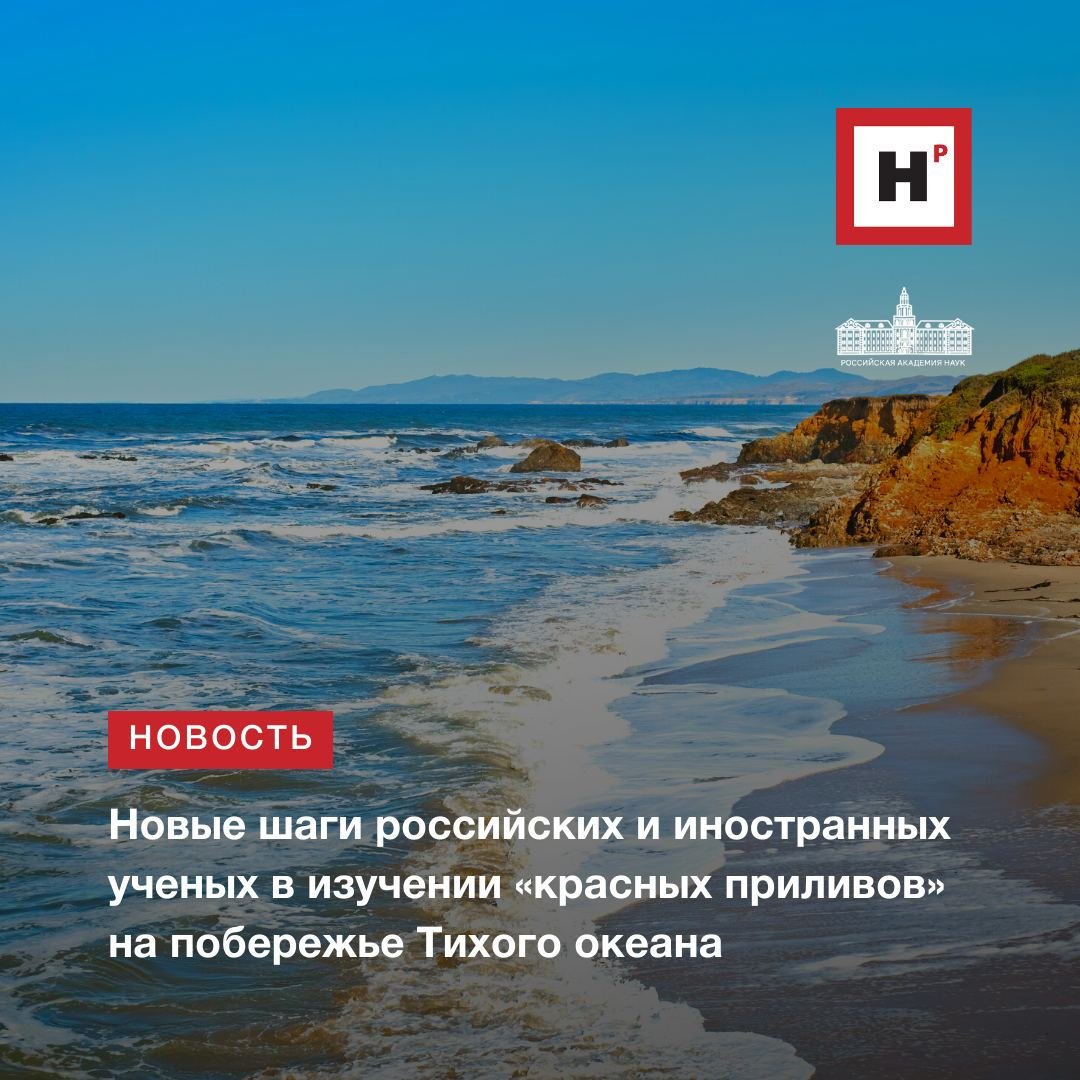 Приливы Тихого океана