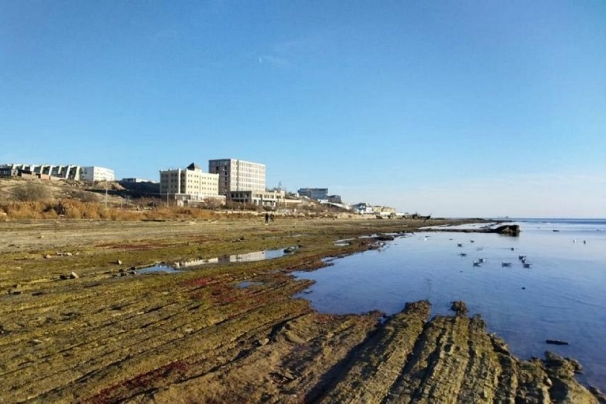 Жители Каспийского моря