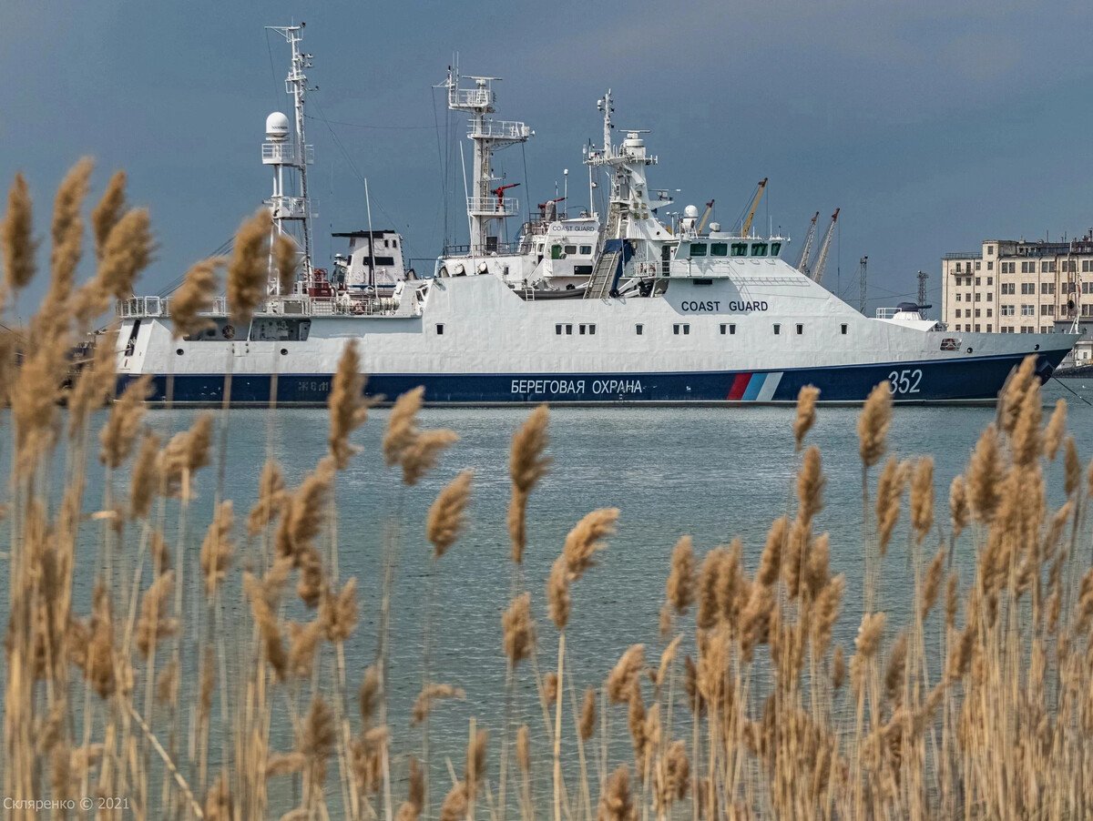 Камышовый залив черного моря