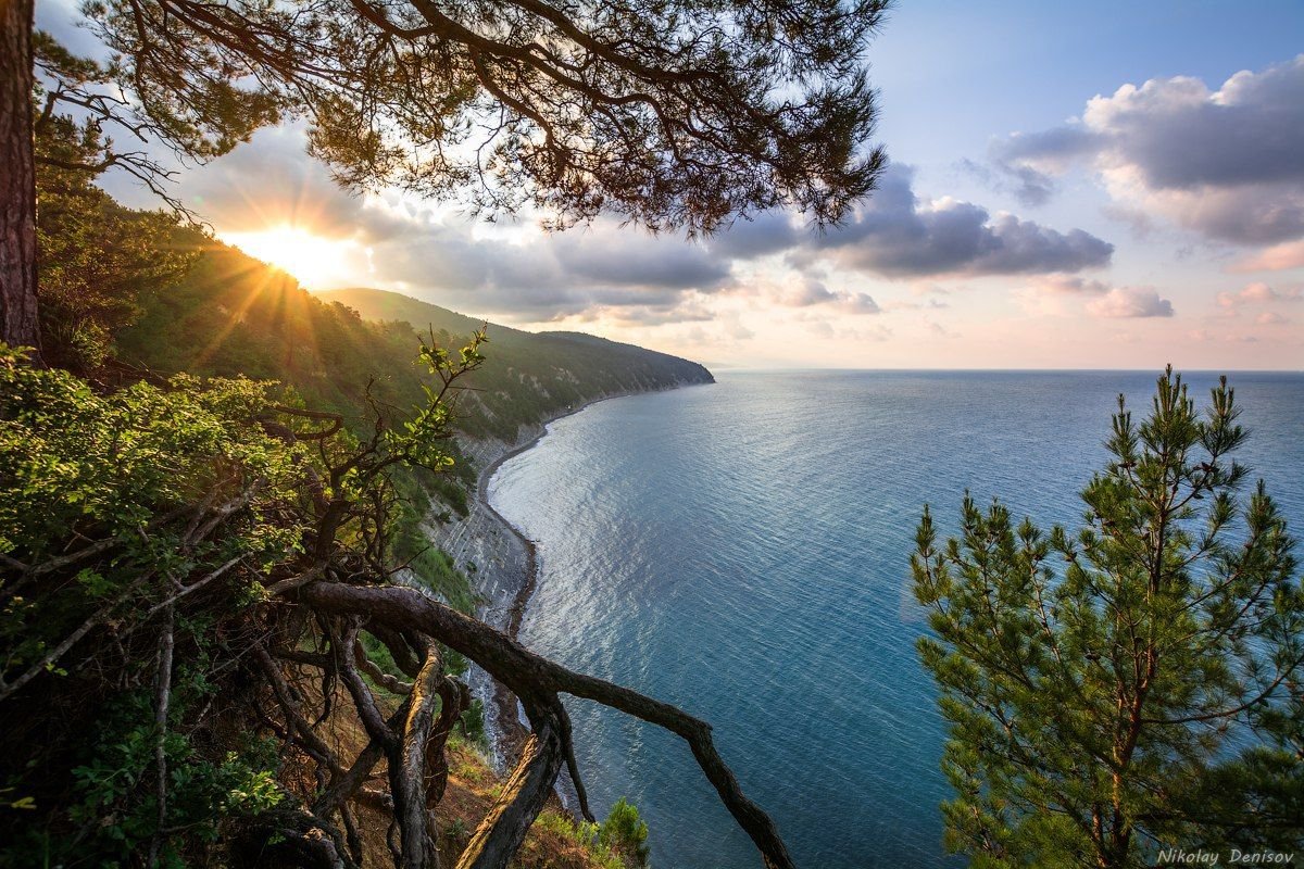 Бетта черное море