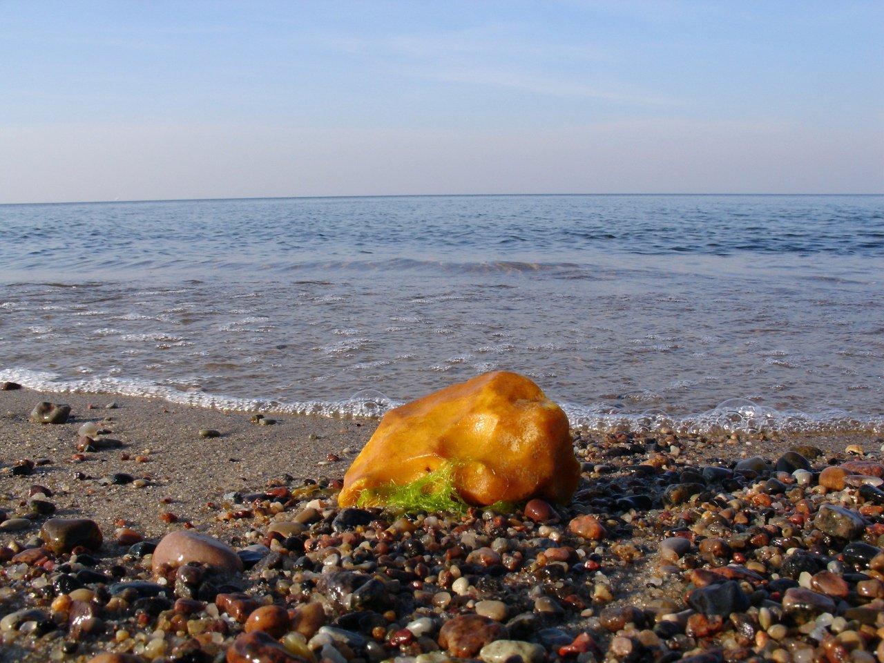 Балтийское Море Янтарь Фото