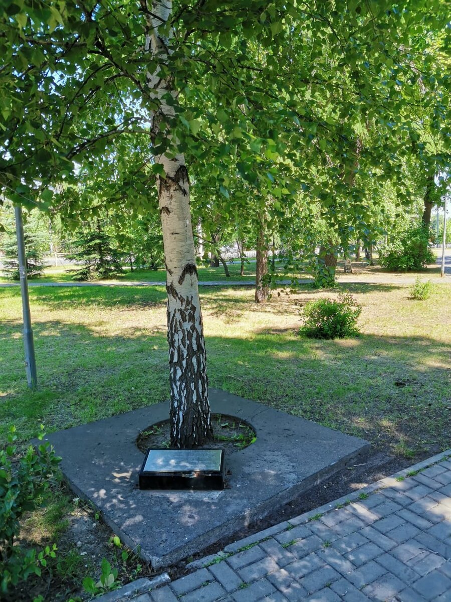 Казань Ибрагимов береза памятник