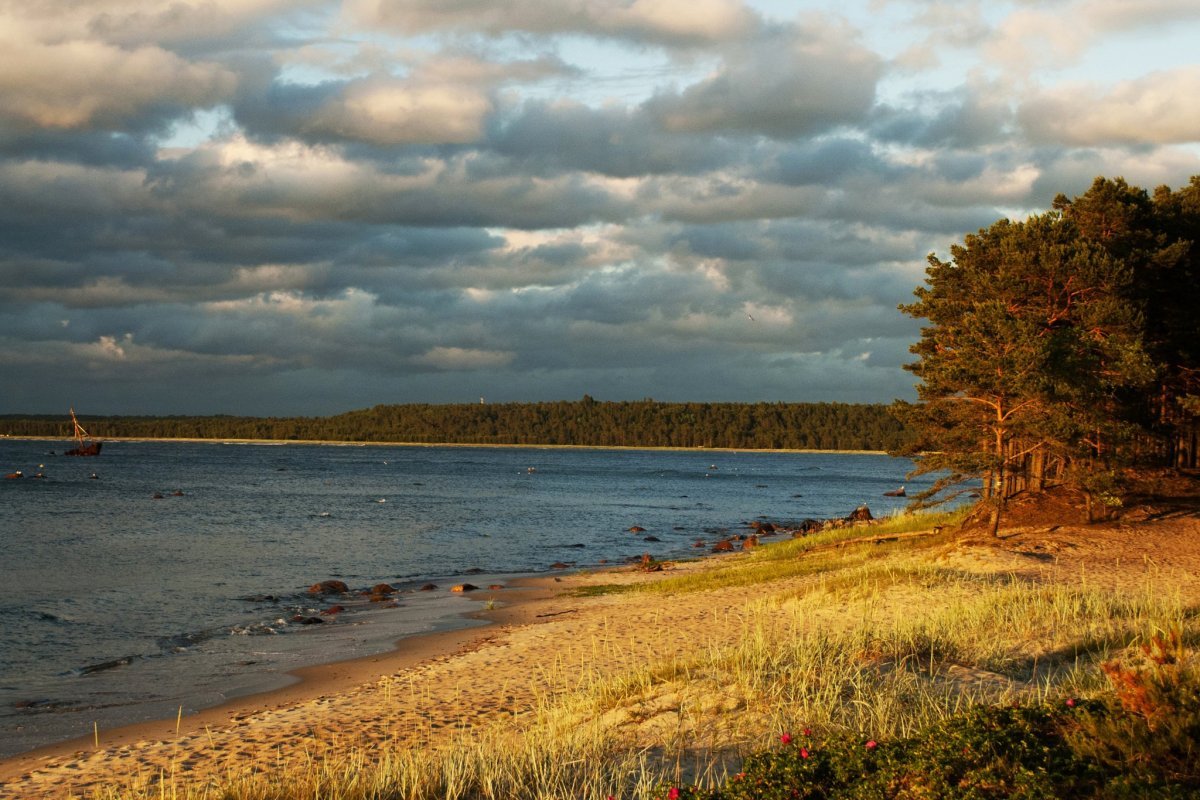 Боровские острова Обского моря
