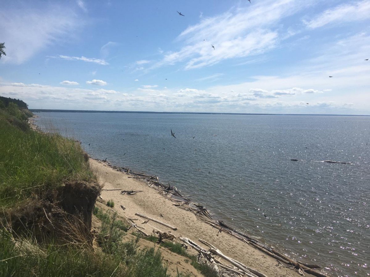 Обское водохранилище Бердск