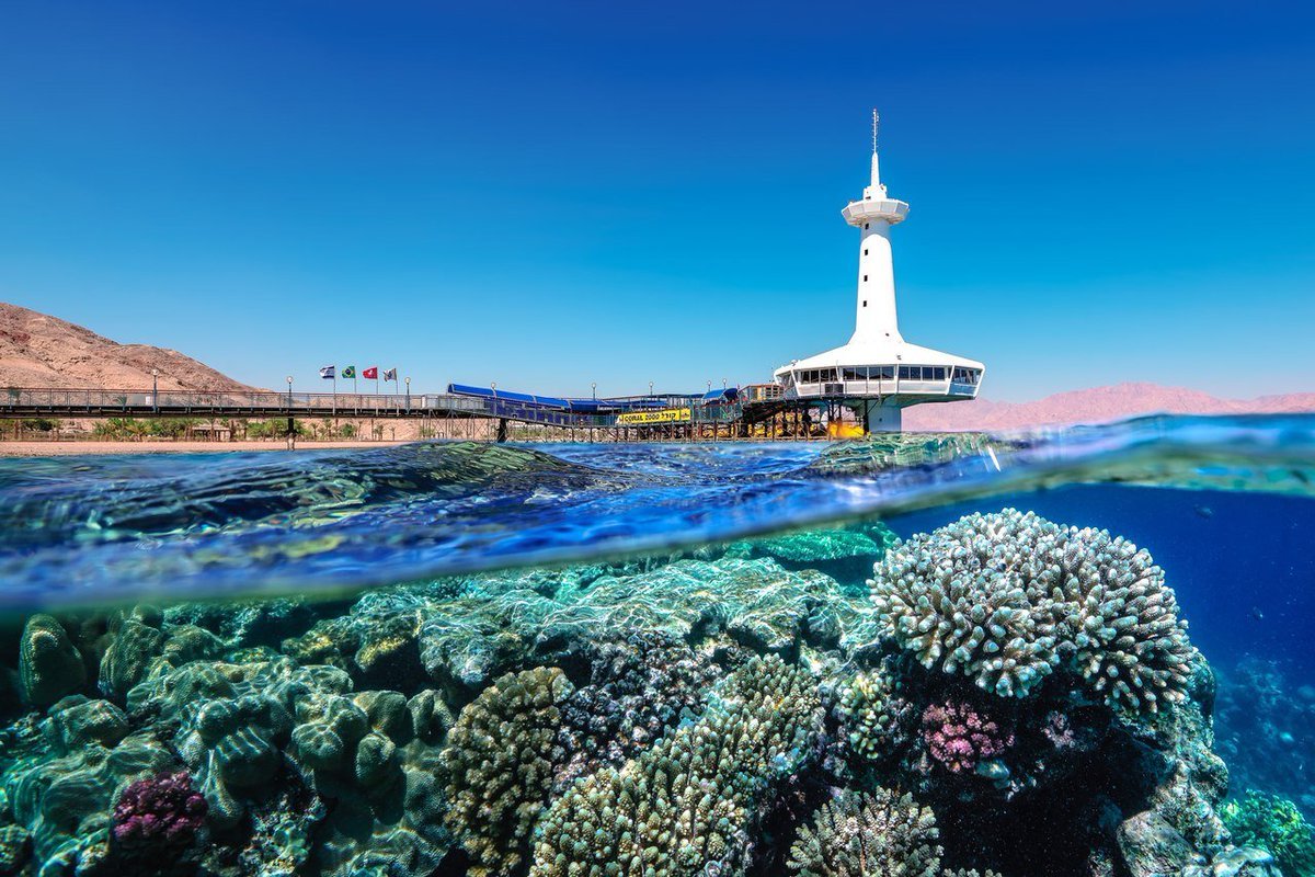 Эйлат красное море