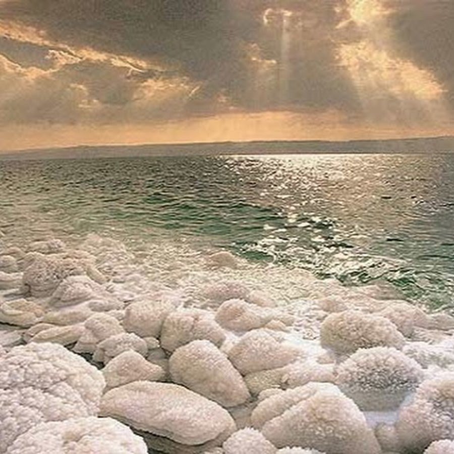 Самое соленое море земли