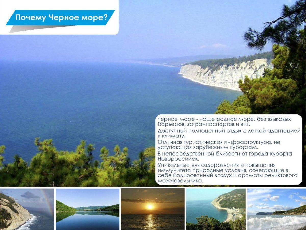 Черное море субтропики