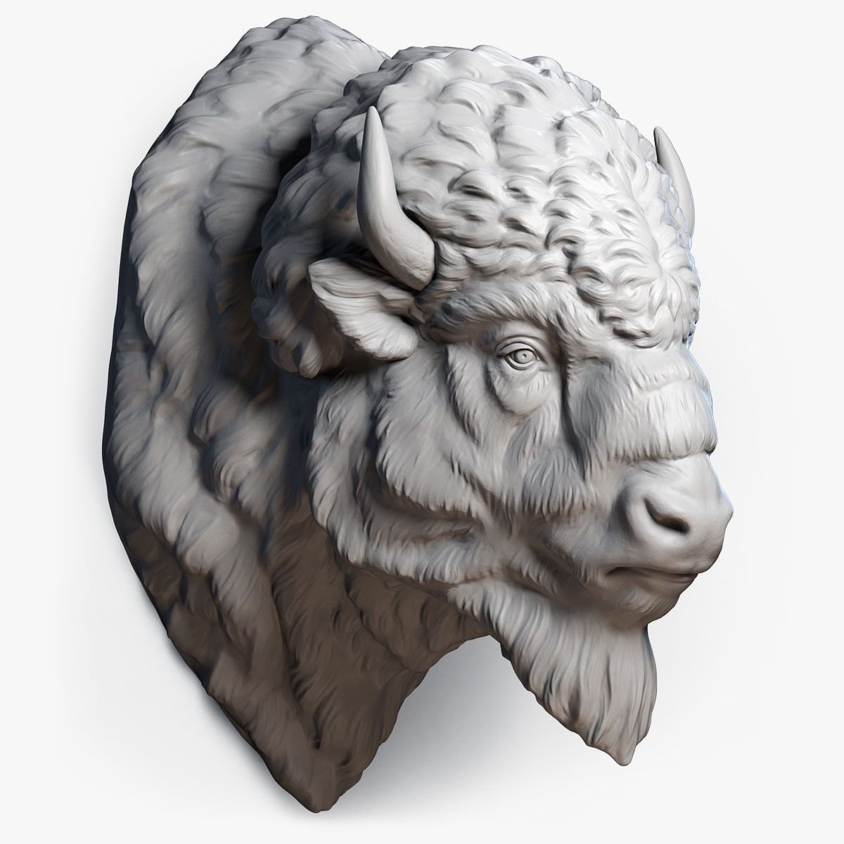 Bison head 3d model