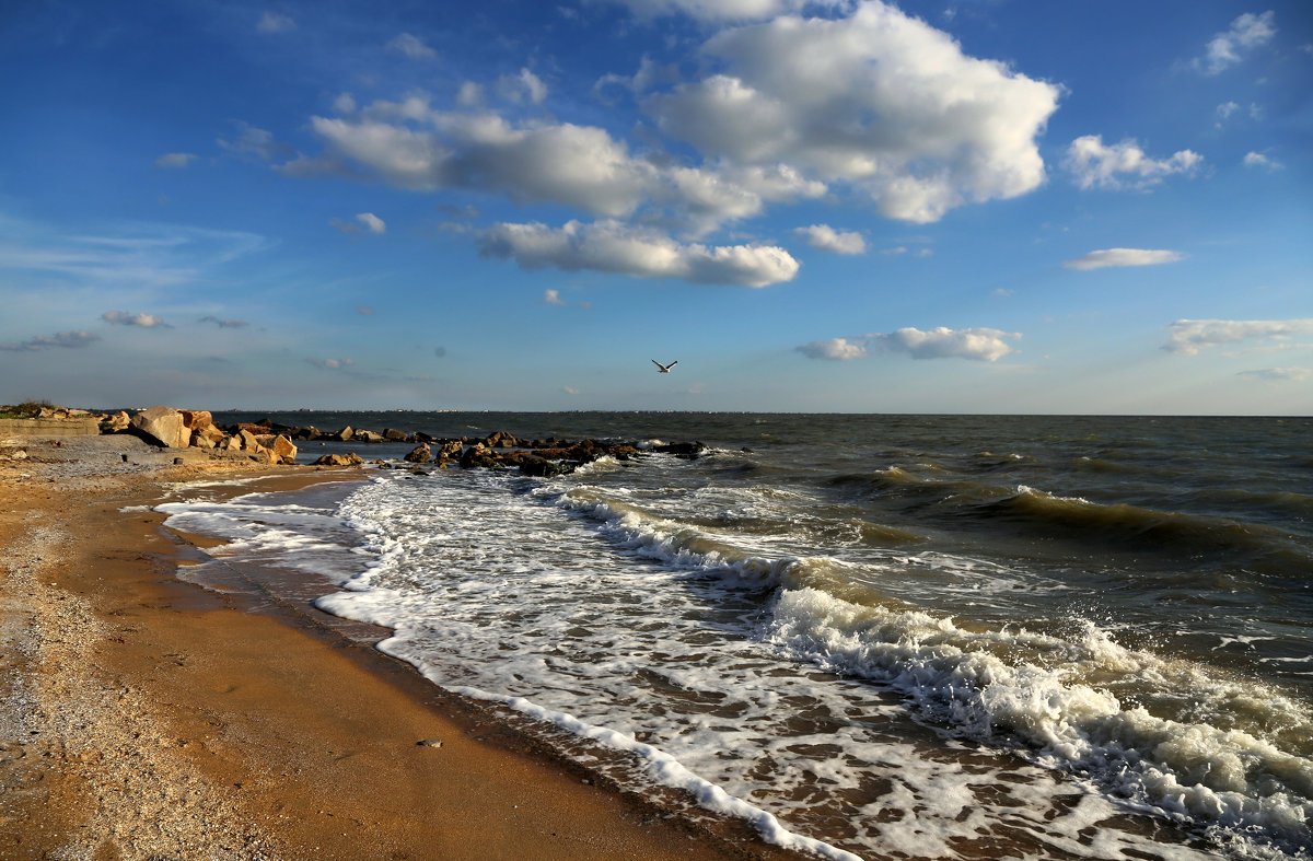 Азовское море Азов