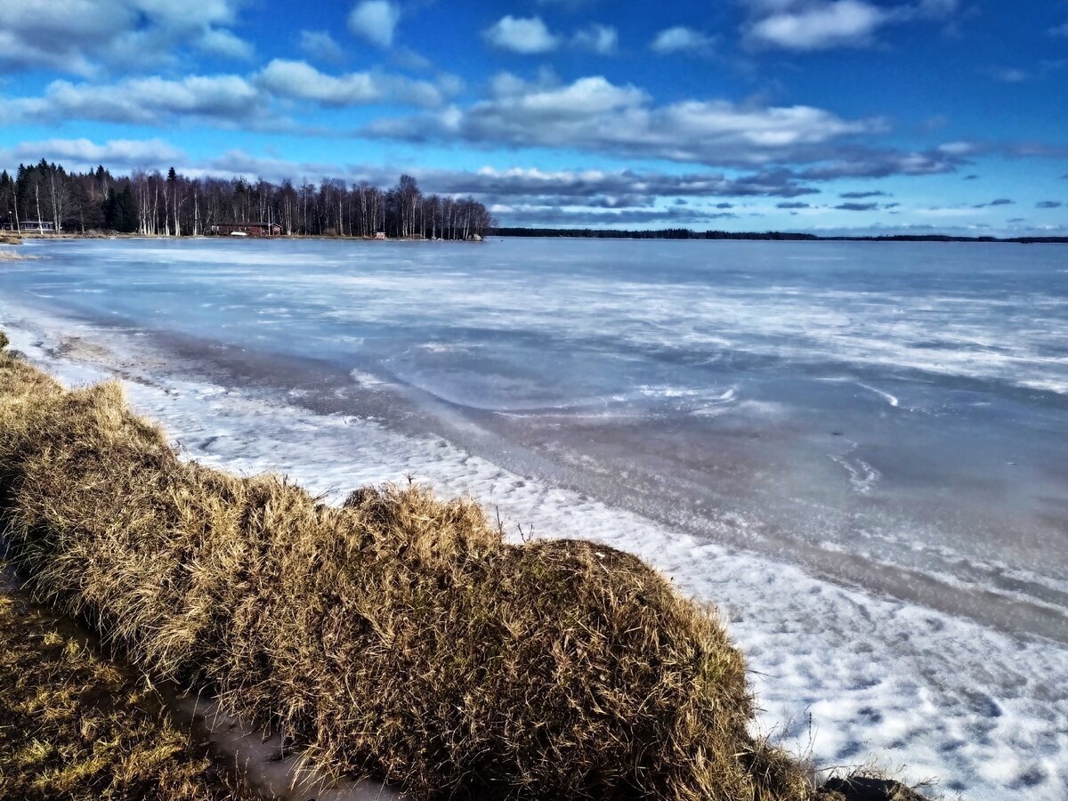 Сестрорецк Балтийское море