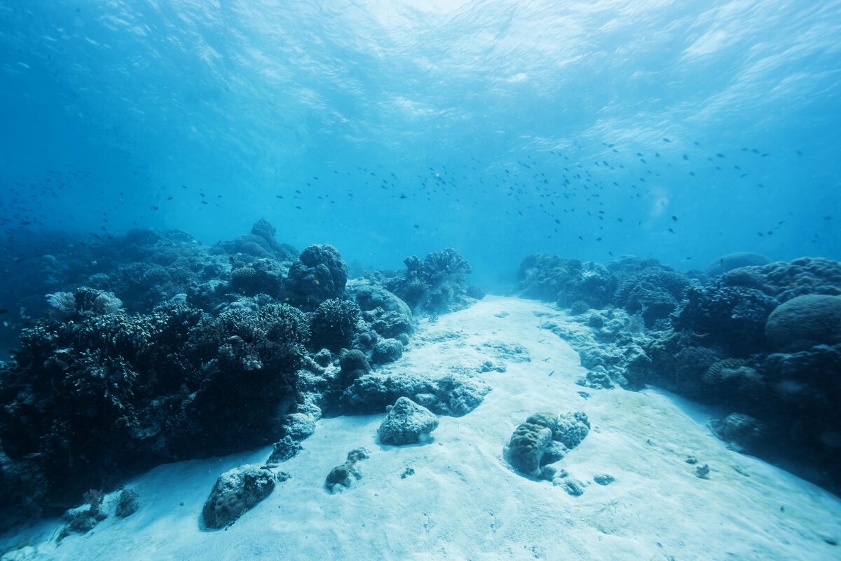Море под водой