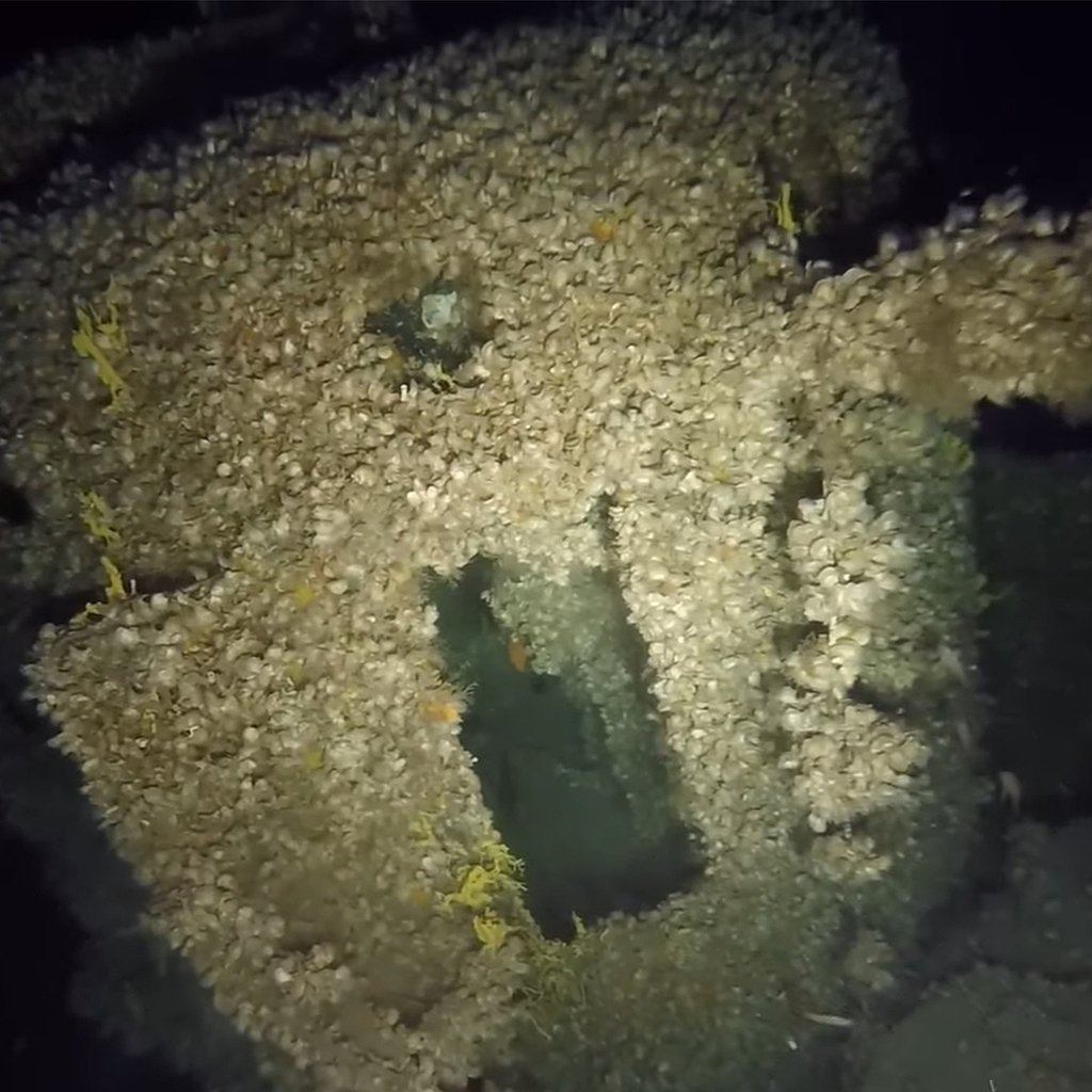 Дно эгейского моря