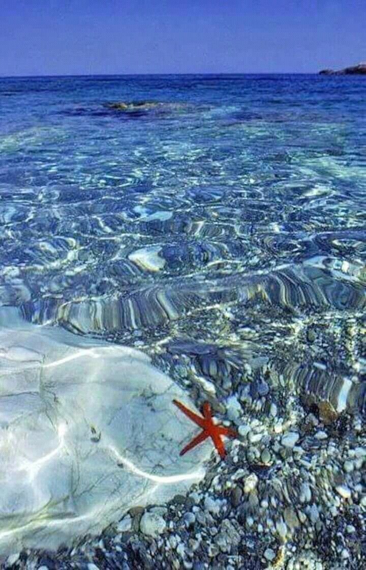 Красное море самое теплое