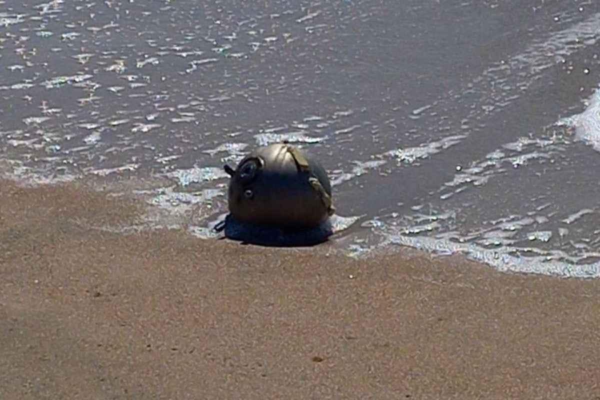 Морские мины в черном море