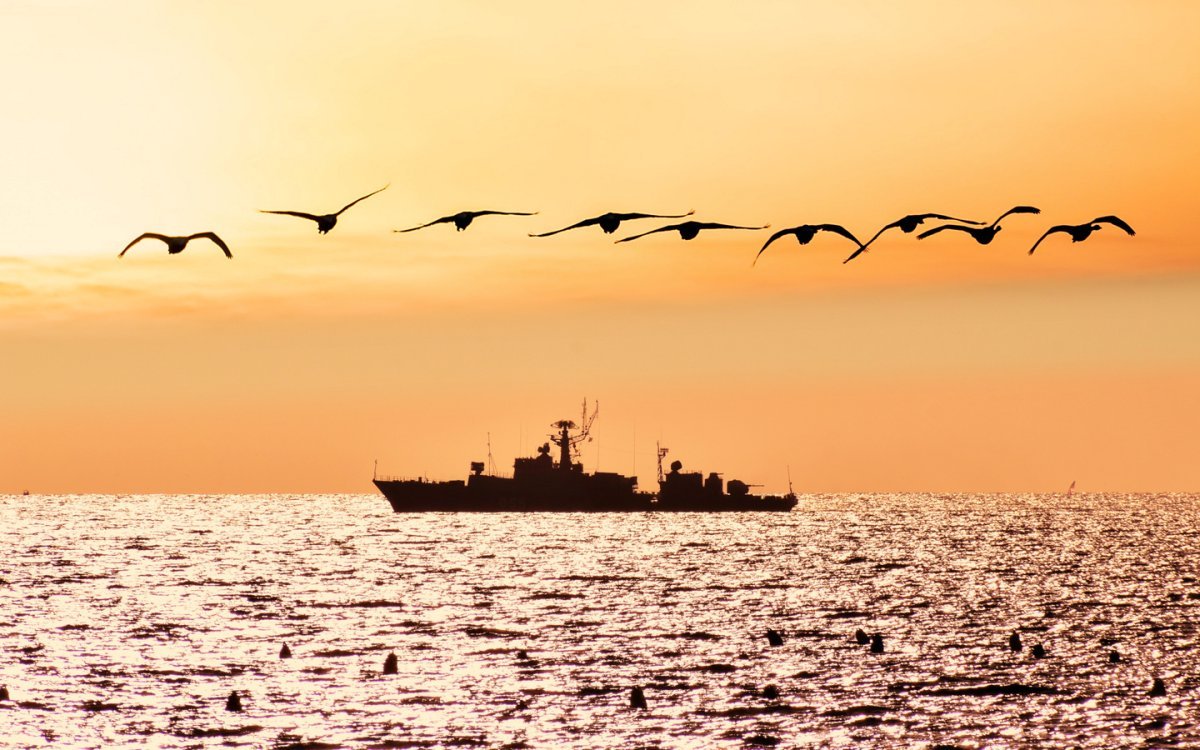 Чайки, корабль и море