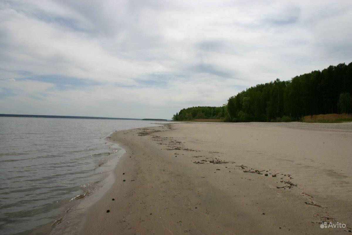 Обское море Ордынский Бор