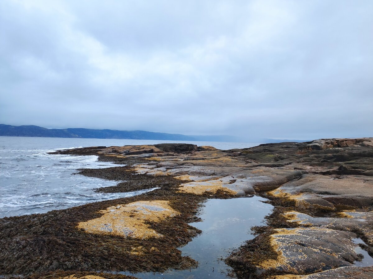 Прибрежные воды баренцева моря