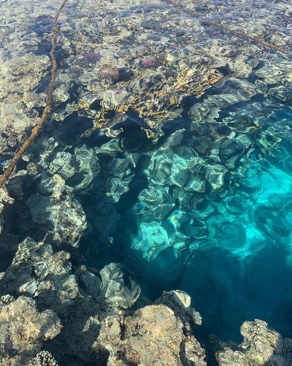 Море в Шарм Эль Шейхе сейчас