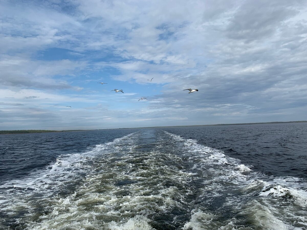 Осадки белого моря