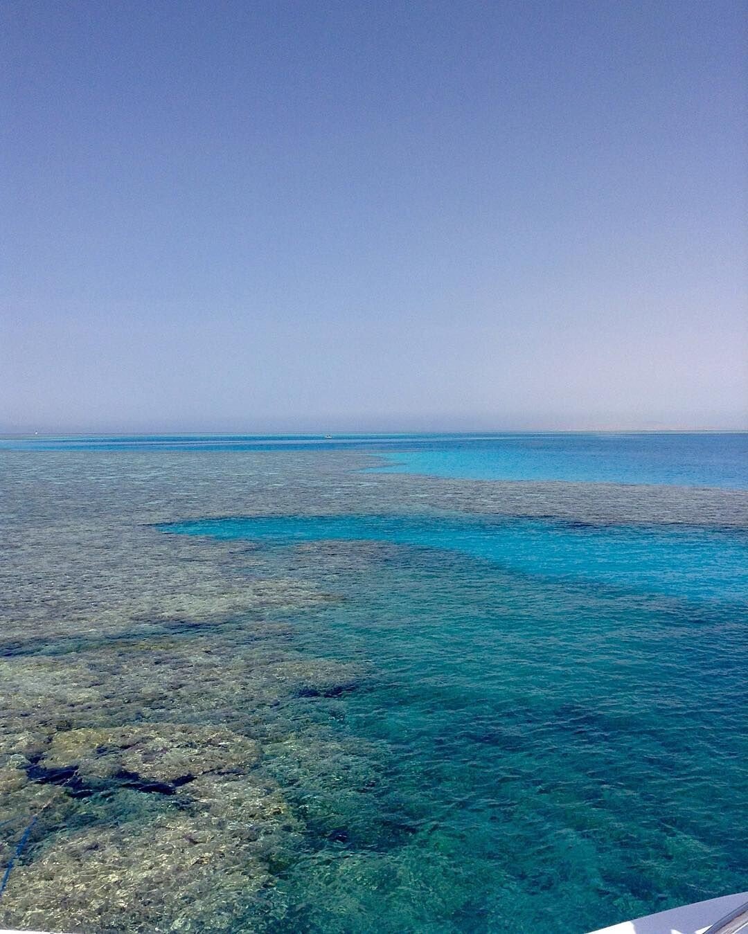 Красное море