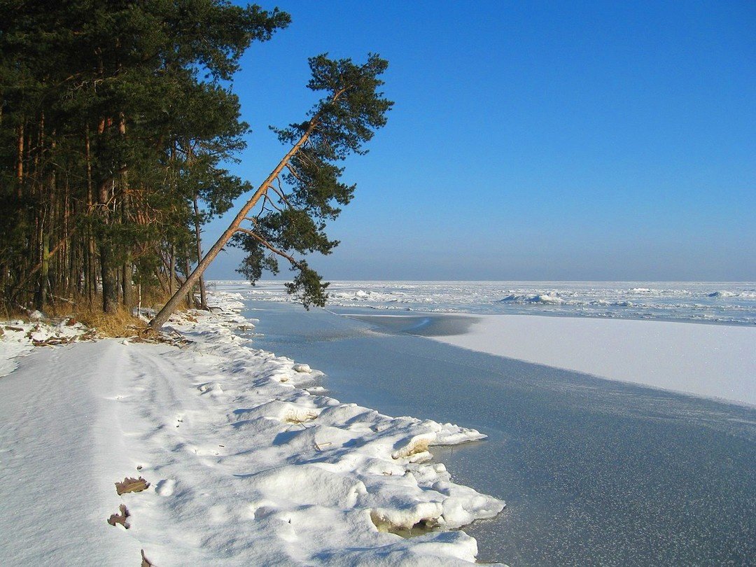 Куршская коса зимой