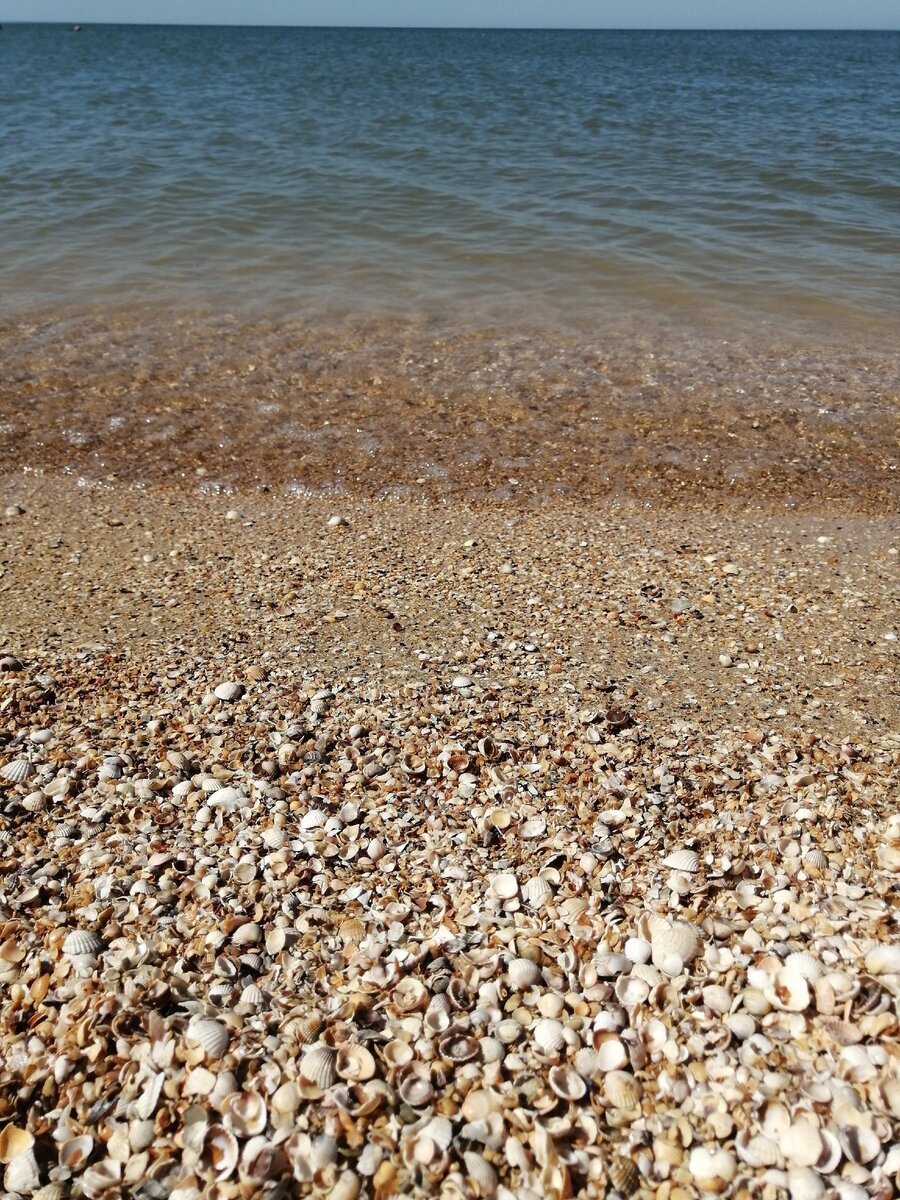 Азовское море ракушечный берег