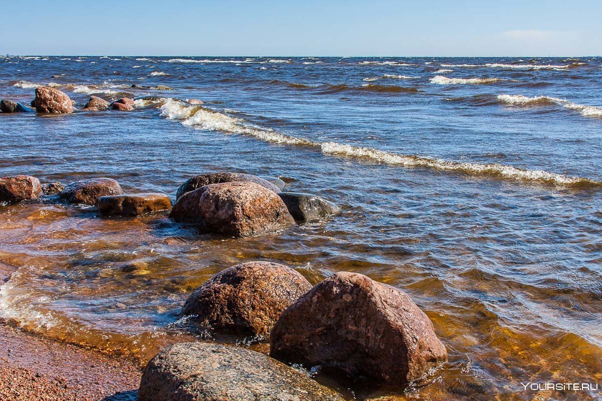 Берег Балтийского моря финский залив