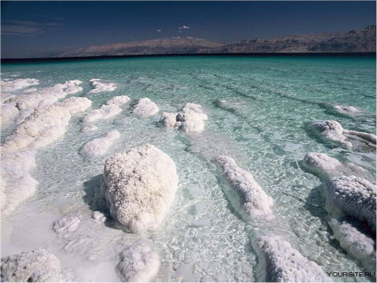 Соленые воды планеты. Соленое Мертвое море.