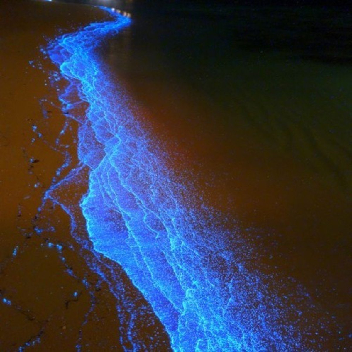 Фосфорное море