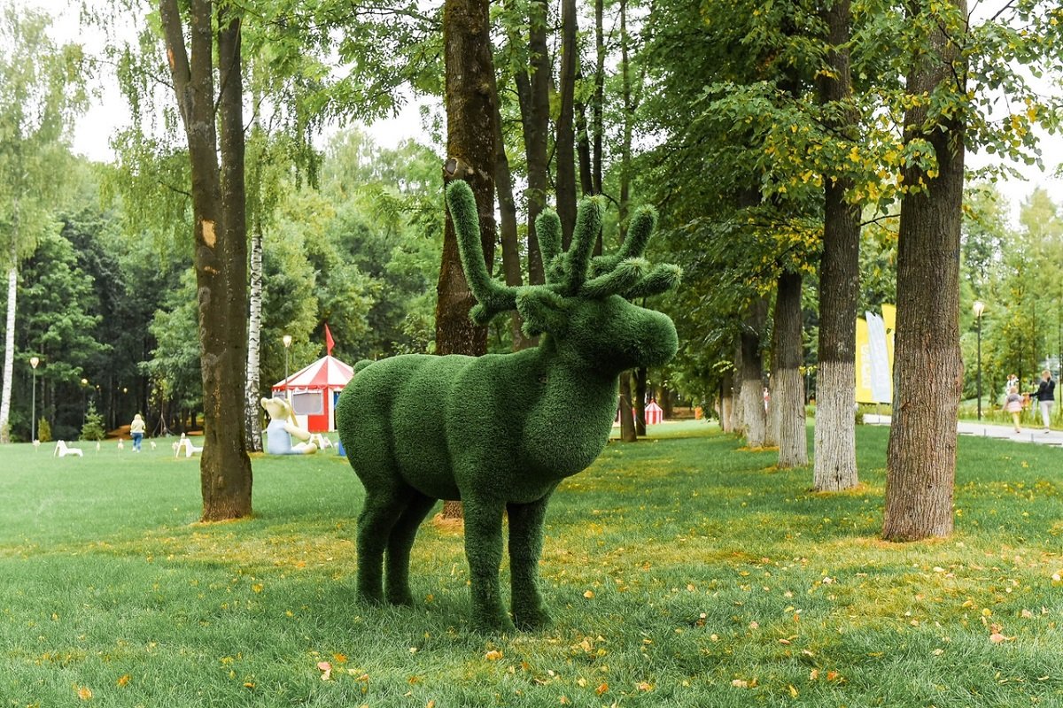 Парк Швейцария Нижний Новгород 800 лет