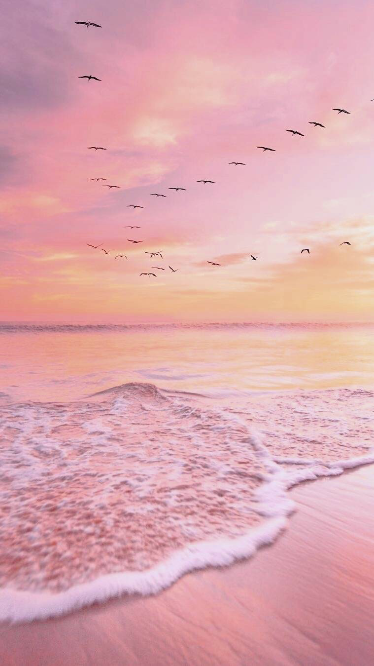 Розовое море