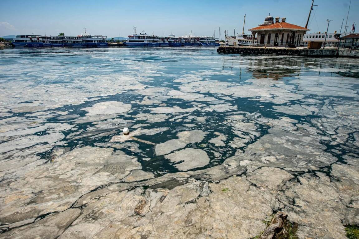 Мраморное море слизь