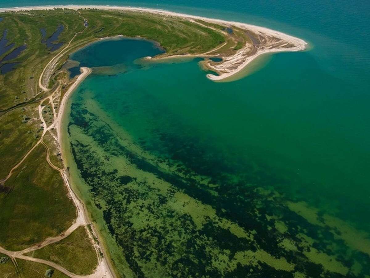 Бердянская коса