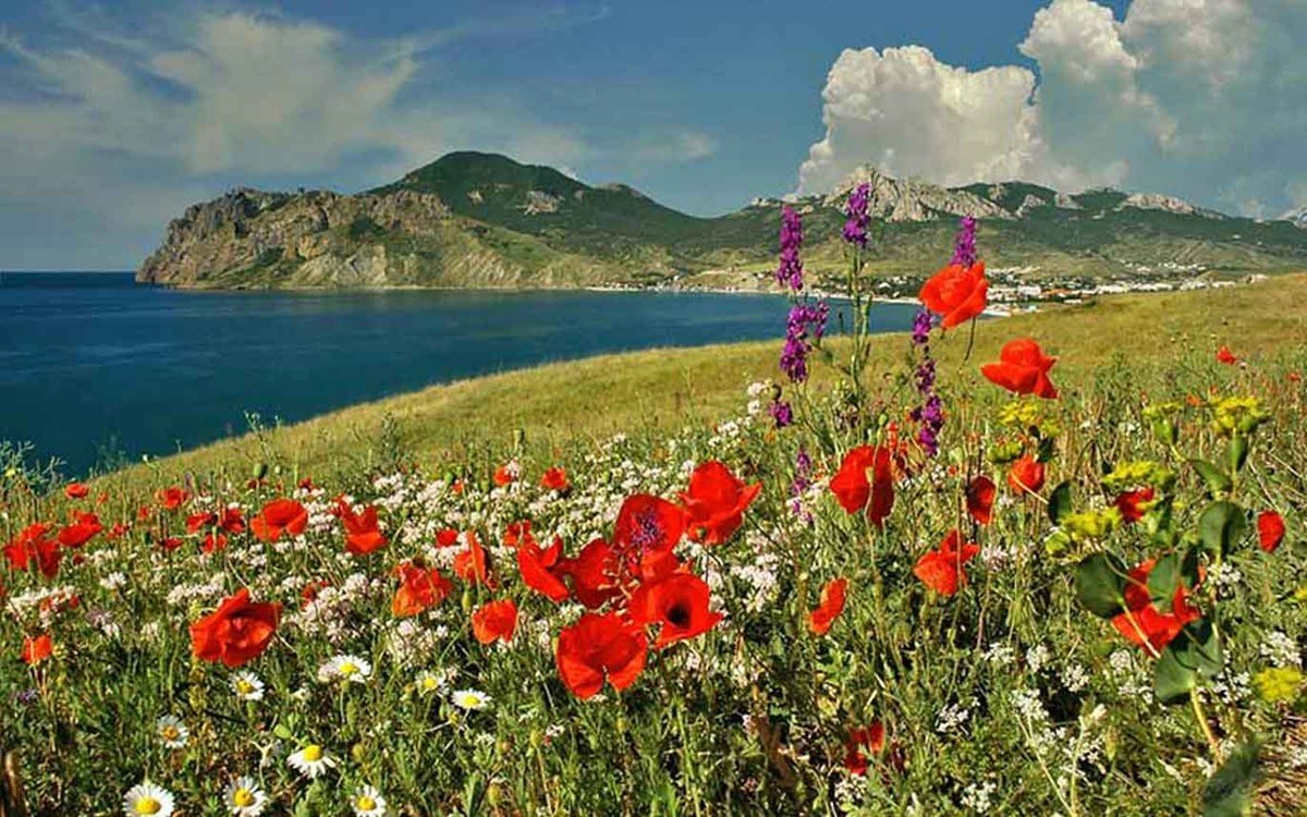 Крымский полуостров Коктебель