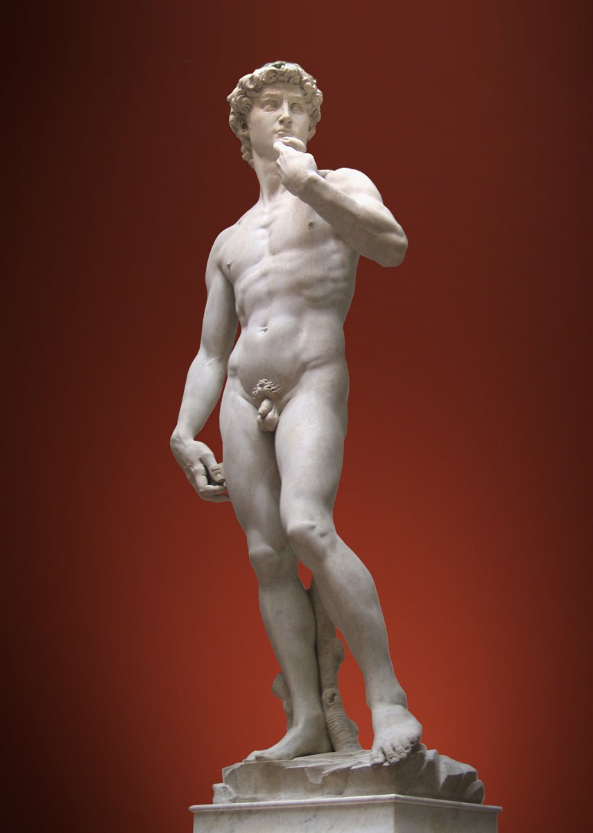Микеланджело Давид 1501-1504