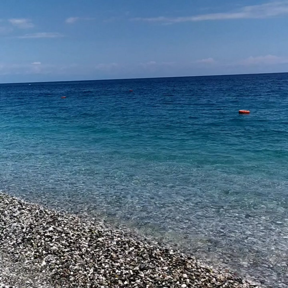 Черноморское черное море